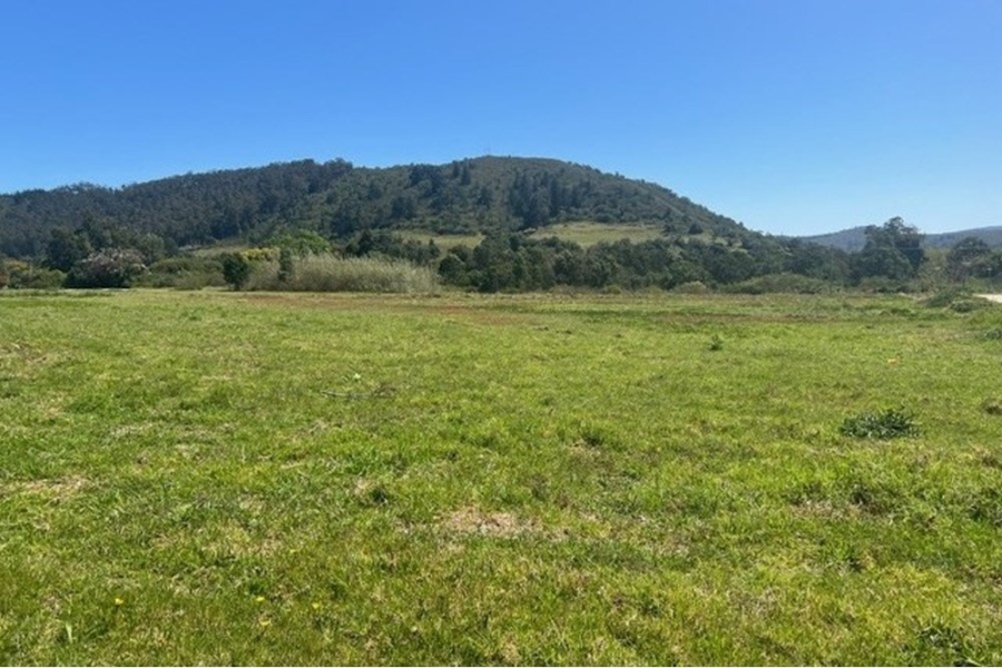 2 Bedroom Property for Sale in Wittedrift Western Cape